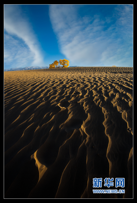 2015环青海湖国际公路自行车赛天佑德青稞酒