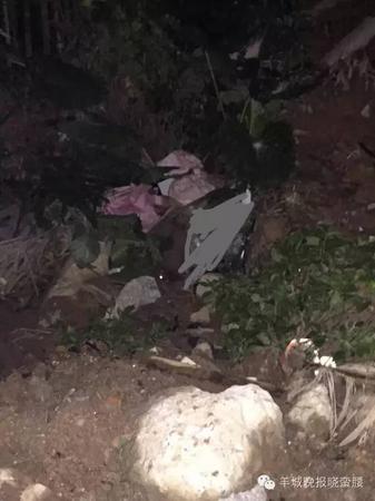 广州番禺11岁失联女孩被证实遇害 疑遭性侵