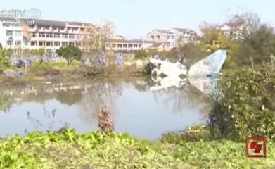 飞机撞鸟坠机?23秒惊魂视频曝光 飞行员紧急跳