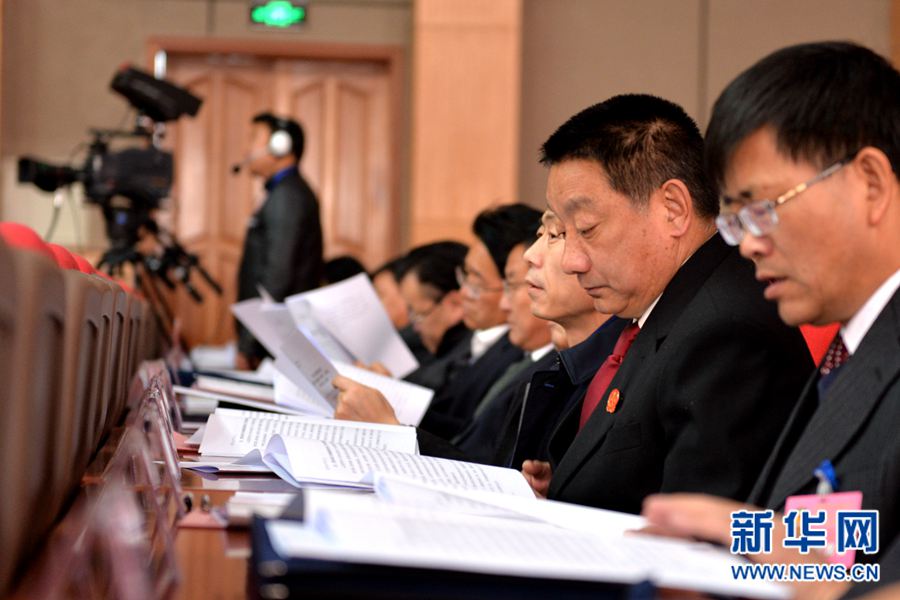 政协委员认真聆听政协工作报告_图片频道_新华网