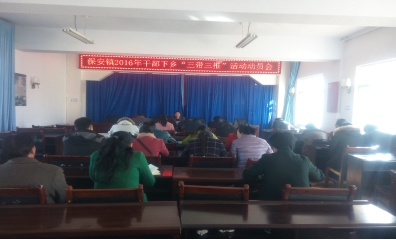 保安镇召开2016年三带三推活动动员大会