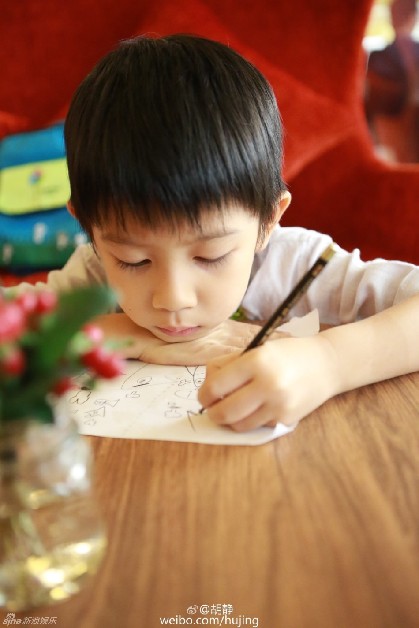 组图:胡静儿子做家庭作业 皮肤白皙颜值高