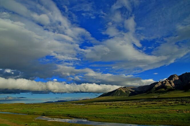 大美青海:天峻草原情