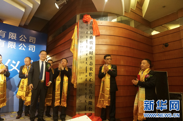 青海海南成立大型现代生态农牧业龙头企业