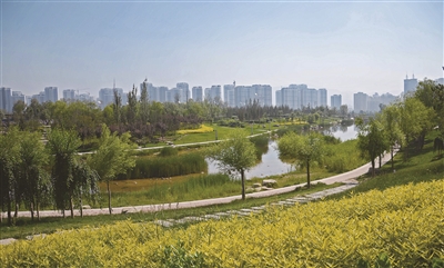 全面加强党的领导 奋力建设幸福西宁