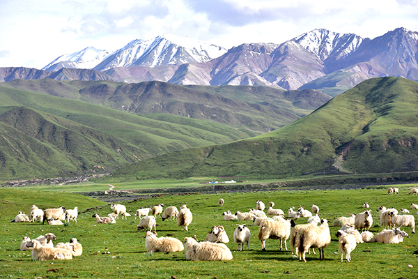 创新四维模式 打造美丽祁连幸福祁连