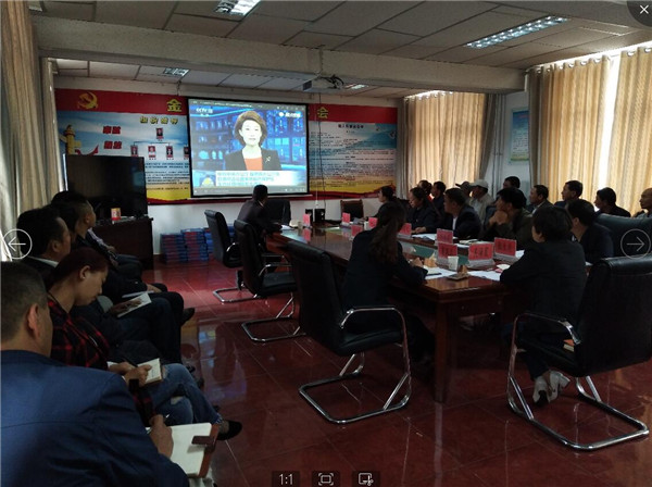 金滩乡党委班子召开“坚定践行‘四个意识’，扎扎实实推进生态环境保护”专题民主生活会