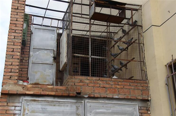 贵德县开展生态环保知识、安全生产宣传、排查