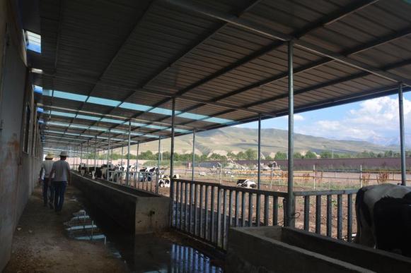 多举措推进环保督察整改见实效