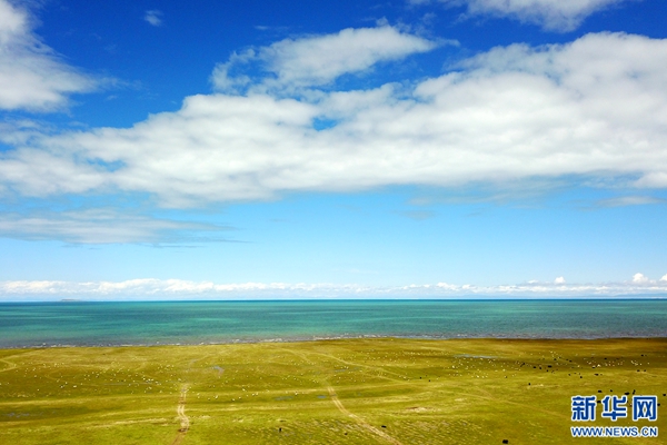 把诗和远方都装进青海湖
