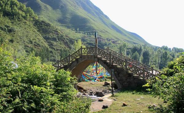 国家税务总局21年定点扶贫 助力青海民和打好