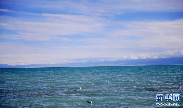 青海湖面积持续扩大 达到17年来最大值