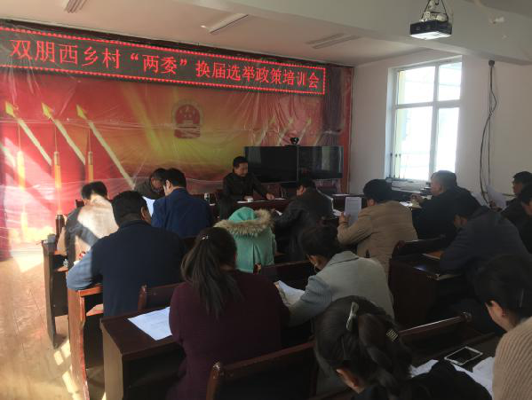 双朋西乡召开村两委换届选举政策培训会