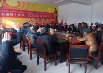 严明纪律依法选举选优配强村两委班子 --保安