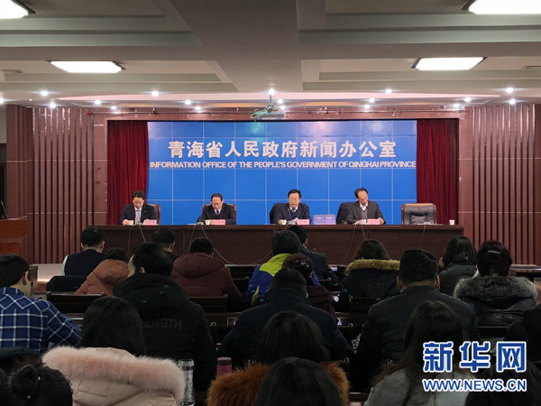 《2018年青海经济社会形势分析与预测蓝皮书