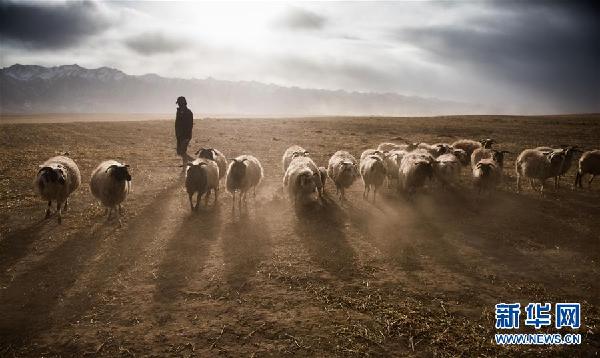 青海:扬改革之帆 谋发展新篇