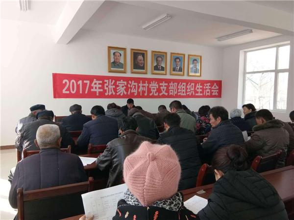 河阴镇坚持高标准、严要求开好专题组织生活会