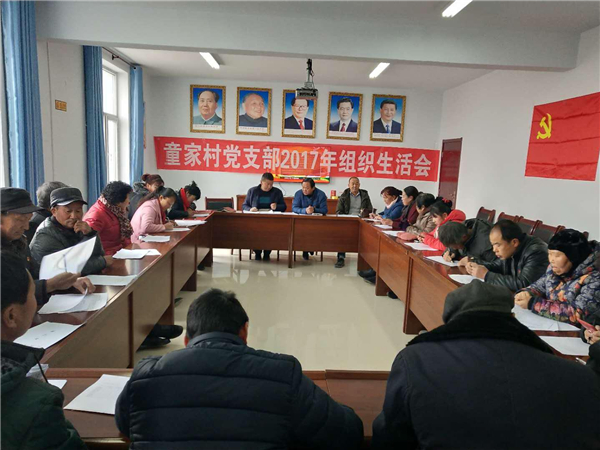 河阴镇坚持高标准、严要求开好专题组织生活会