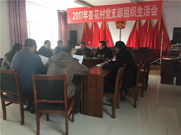 河阴镇坚持高标准、严要求开好专题组织生活会