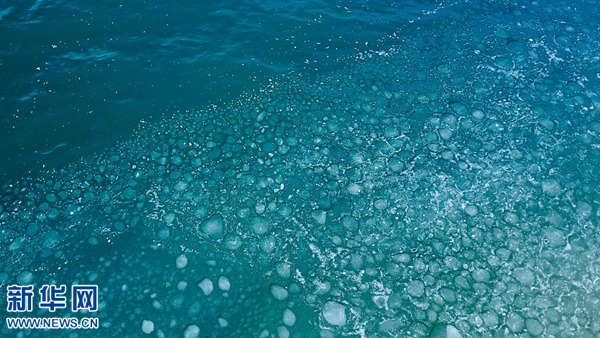 划定生态红线 筑牢青海湖生态安全屏障