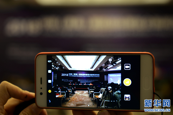 借势上海 腾飞青海 2018中国(青海)藏毯国际展