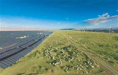 光伏板下的老本行