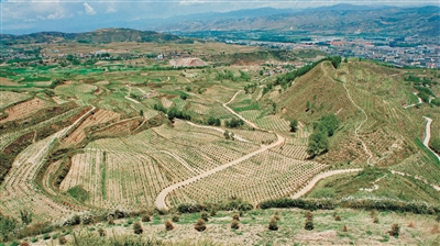 青海不断向着绿色梦想进发