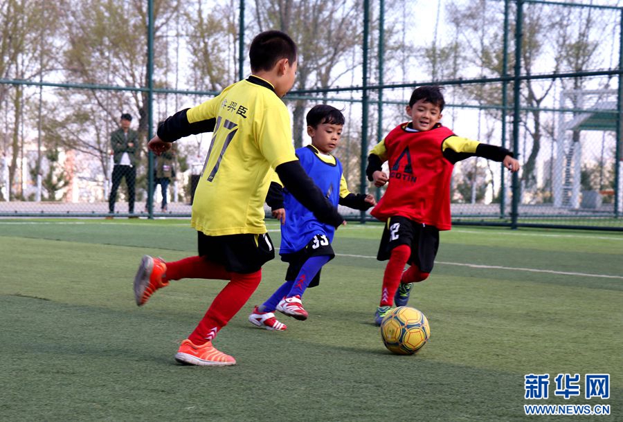 少年心·足球梦:西宁市北大街小学蒲公英足球