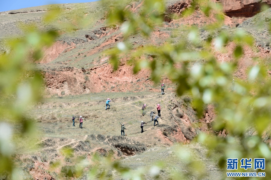 征沙场绿荒山--种树大王黄生红二十二年的