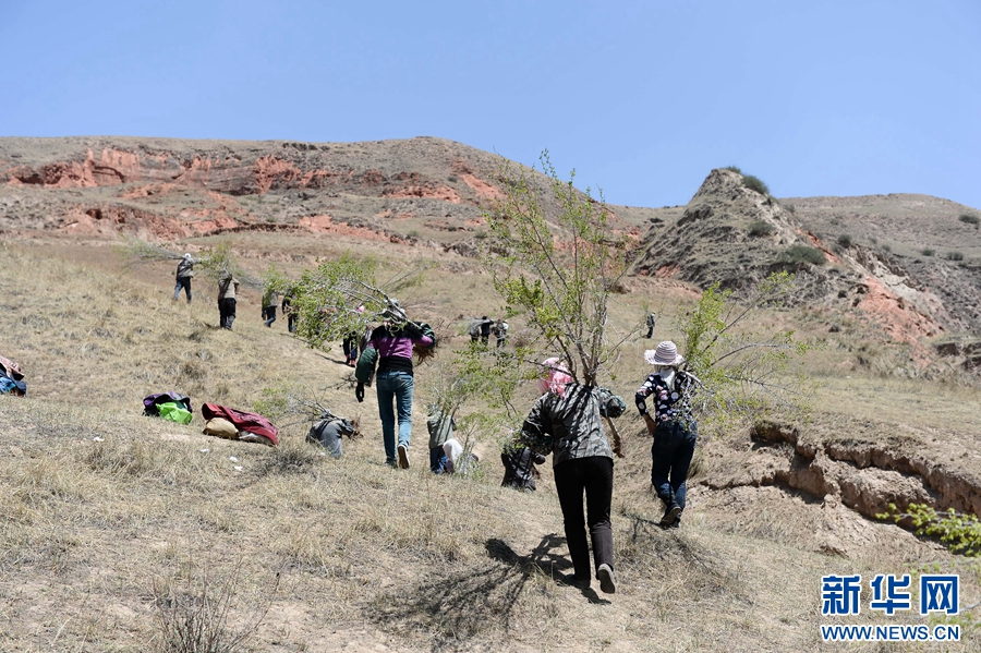 征沙场绿荒山--种树大王黄生红二十二年的