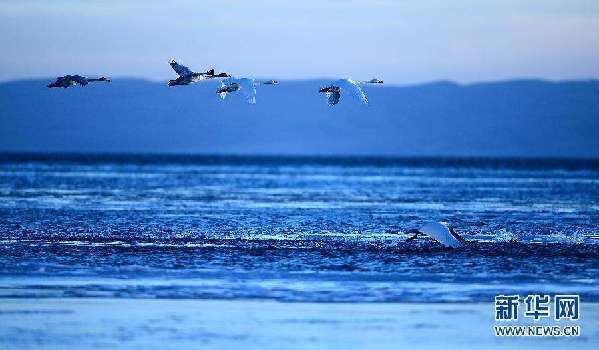 青海湖枯水期面积达18年来最大值