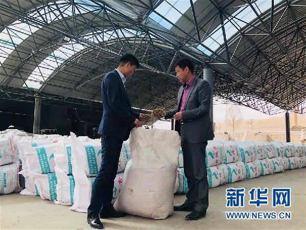 精准服务接地气--青海农村金融扶贫见闻