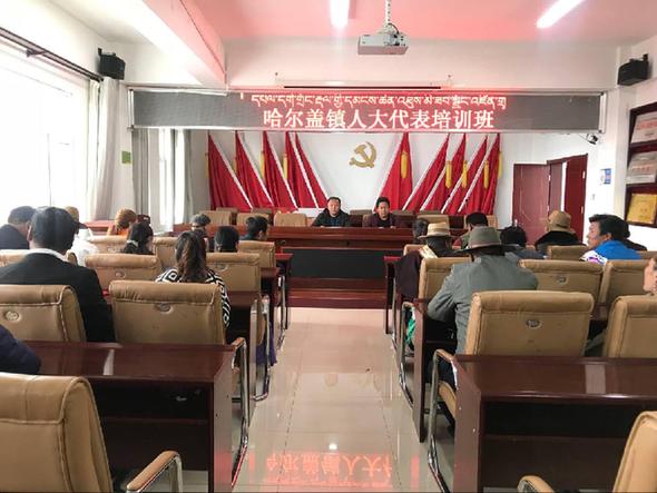 哈尔盖镇举办2018年人大代表培训班