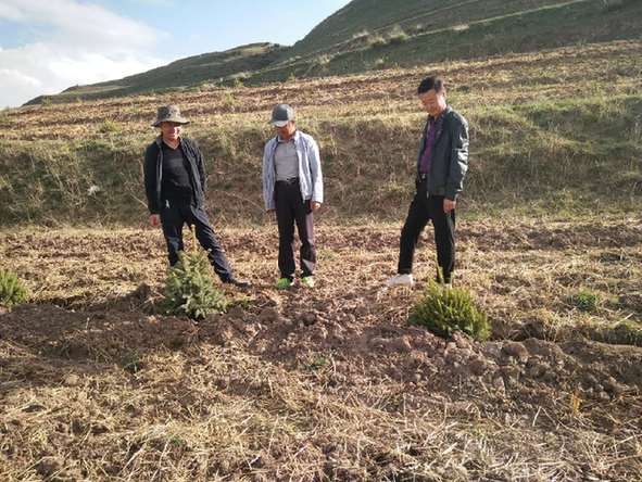 坚持造林管护并重 加快生态建设步伐