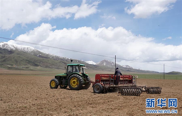 三江源牧民多布旦种草记