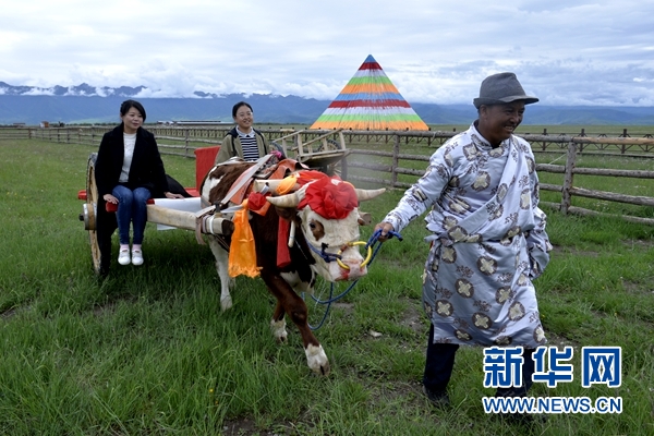 旅游+扶贫:生态牧场上的“富民曲”惹火宝贝妃