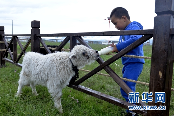 旅游+扶贫:生态牧场上的“富民曲”惹火宝贝妃