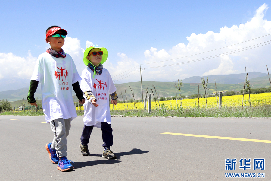 花海漫跑 花美人醉 青海门源百里油菜花海景色