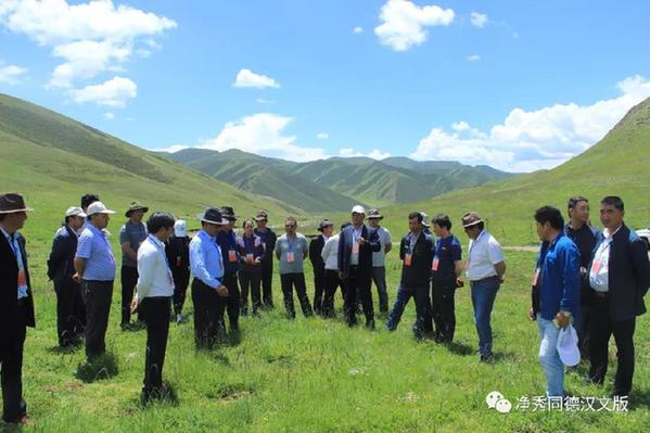 同德县政协开展生态畜牧业工作专项视察