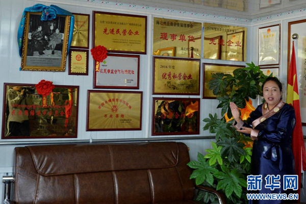 青海海晏:悠悠碧草中,走出一条脱贫致富康庄路