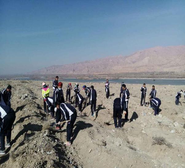 共青团贵德县委 认真开展党建+青春建功八项