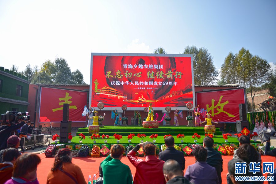 抓羊 采摘 庆丰收 这个十一很乡趣