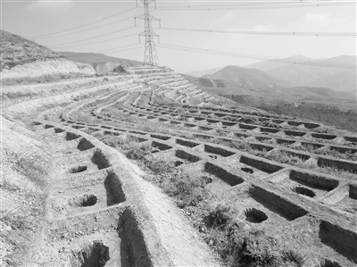 什么是动土层 1123846375_15446665691701n.jpg