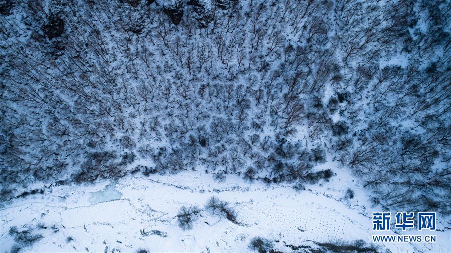 （新华视界）（1）冬季北山的“林海雪原”