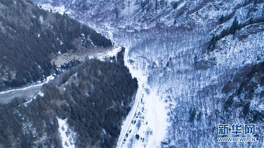 （美丽中国）（3）冬季北山的“林海雪原”