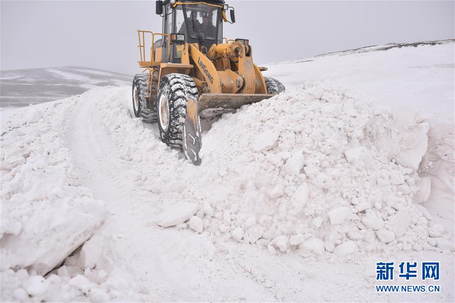 （图文互动）（2）情聚江源 千里驰援——京豫川等地援助青海玉树雪灾区