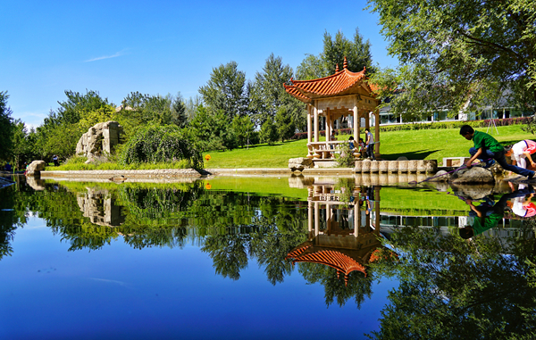 当最美的西宁,邂逅唐诗宋词的春天