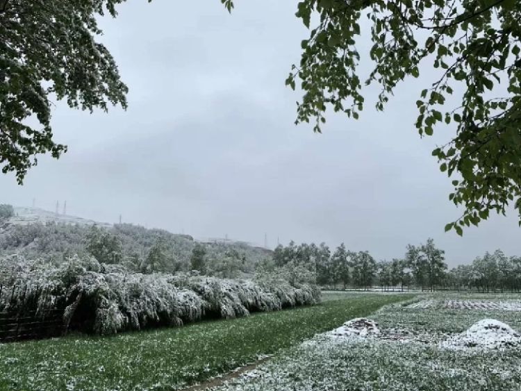 青海五月不“入夏”