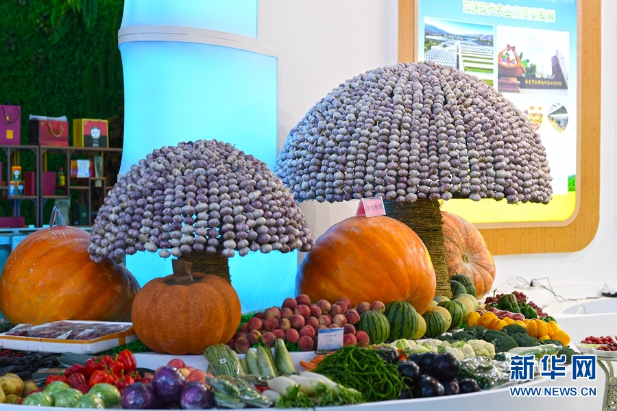 新意，这届青洽会有心意！