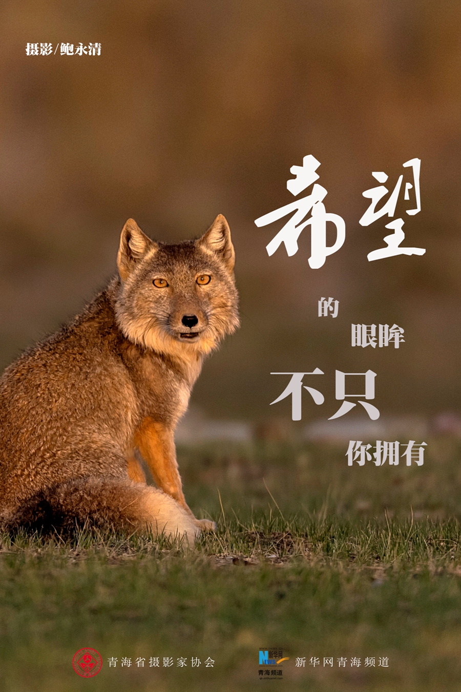 这场战“疫”，关乎你我!敬畏自然，尊重生命(一)